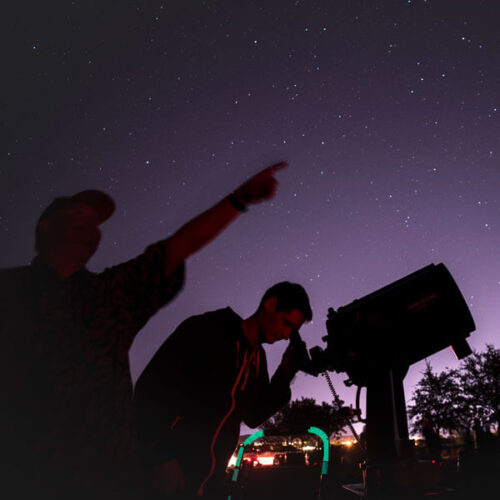 Stellar Star Party