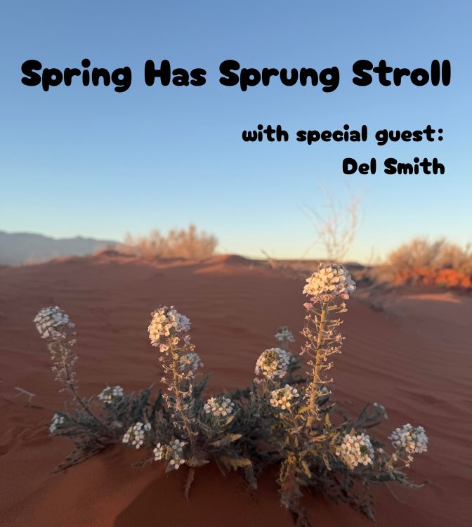 Spring Has Sprung Stroll